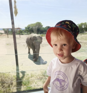 Alumnos de infantil durante excursiones escolares organizadas por Numont School