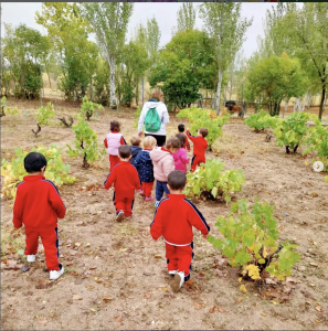 Niños de Infantil durante una excursión a una granja organizada por Numont School