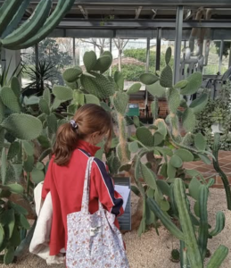 Estudiantes de Secundaria de Numont School durante una excursión cultural al Palacio de Cristal en Madrid